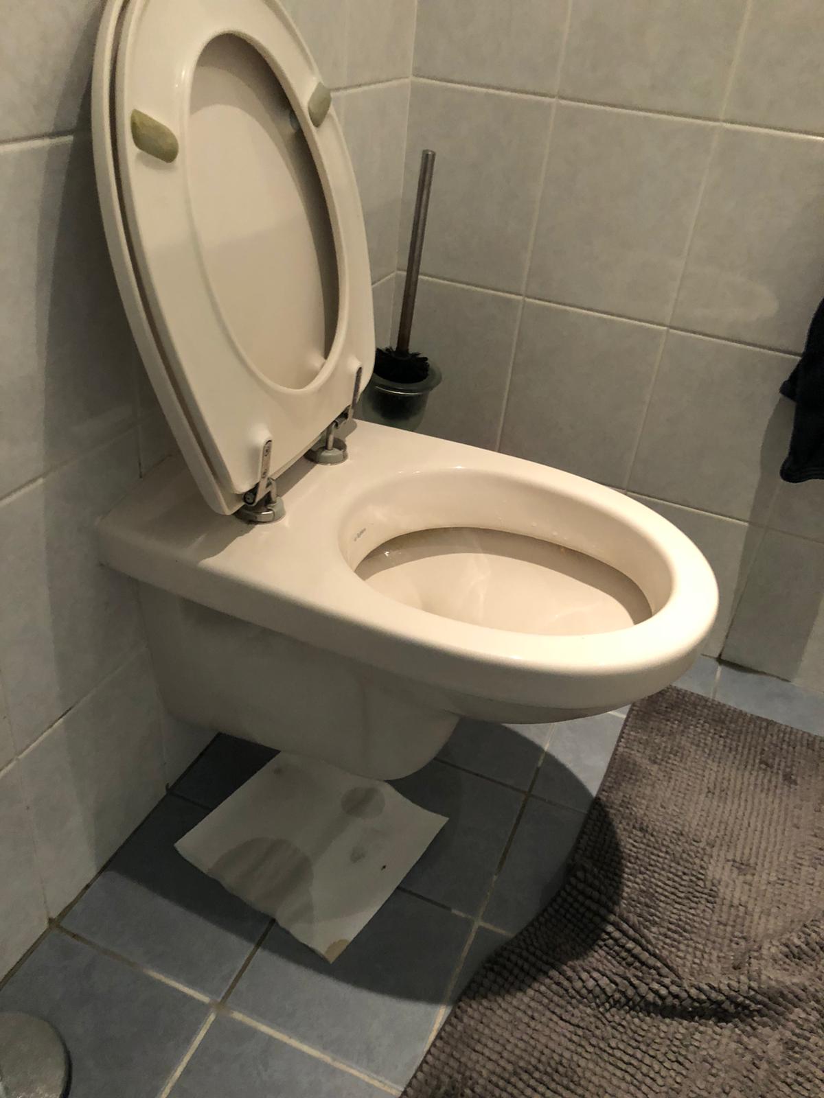 hangtoilet Zevenhuizen